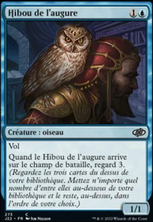 Hibou de l'augure