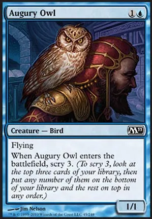 Hibou de l'augure