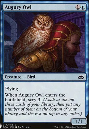 Hibou de l'augure