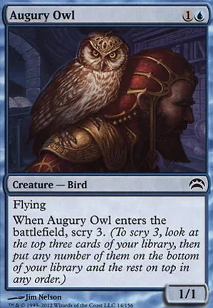 Hibou de l'augure