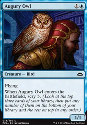 Hibou de l'augure