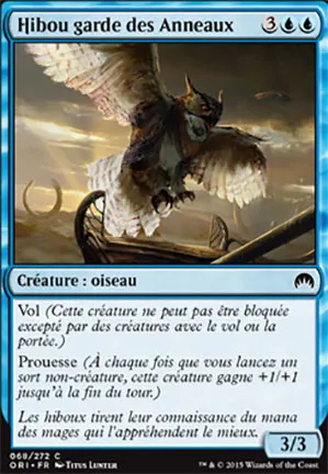 Hibou garde des Anneaux