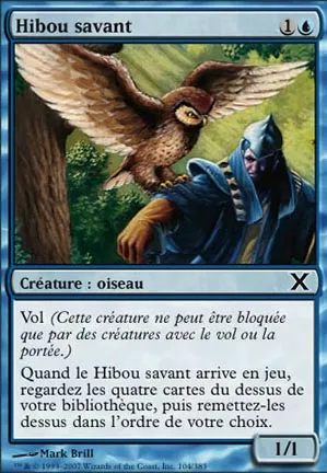 Hibou savant