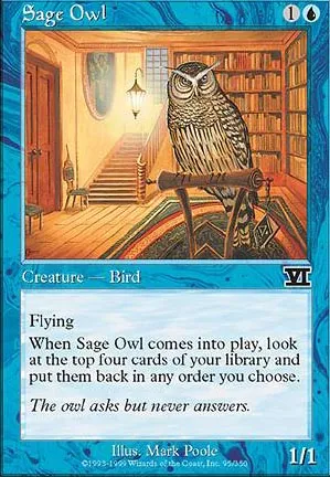 Hibou savant