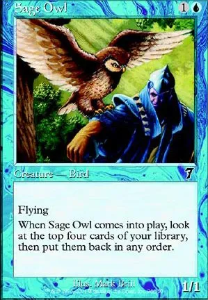 Hibou savant