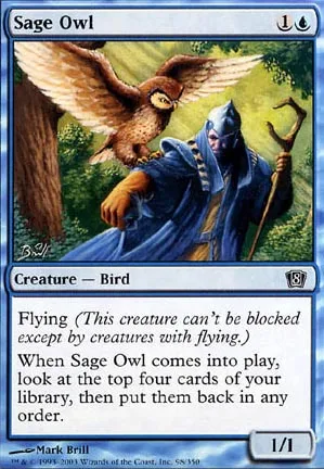 Hibou savant