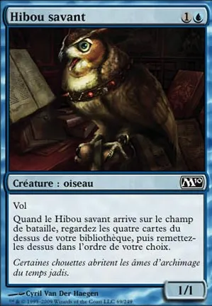 Hibou savant