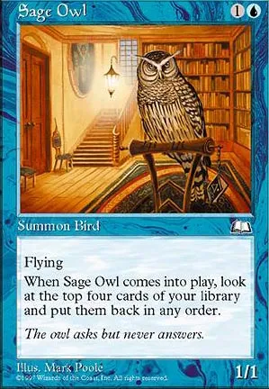 Hibou savant