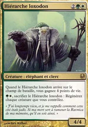 Hiérarche loxodon