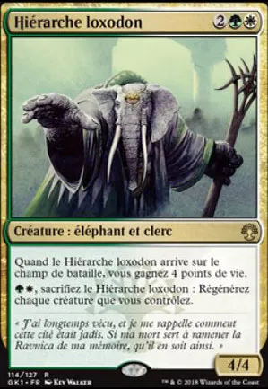 Hiérarche loxodon