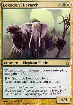 Hiérarche loxodon
