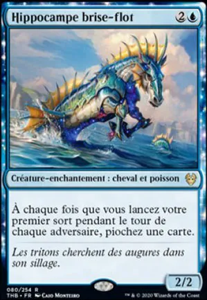 Hippocampe brise-flot