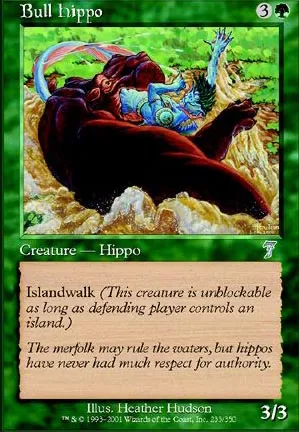 Hippopotame mâle