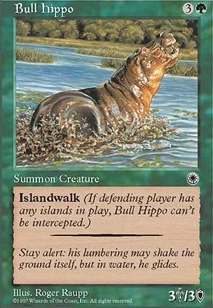Hippopotame mâle