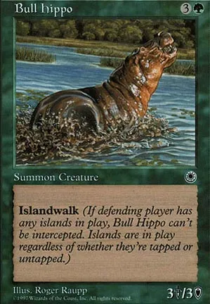 Hippopotame mâle