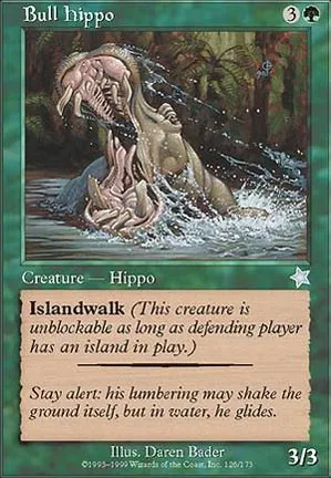 Hippopotame mâle