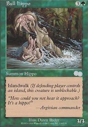 Hippopotame mâle