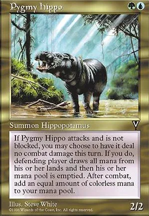 Hippopotame pygmée