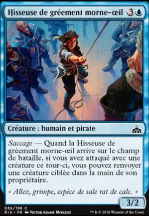 Hisseuse de gréement morne-œil