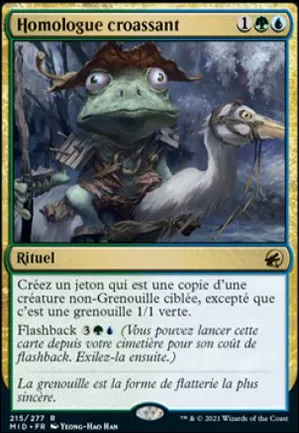 Homologue croassant