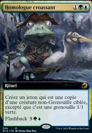 Homologue croassant