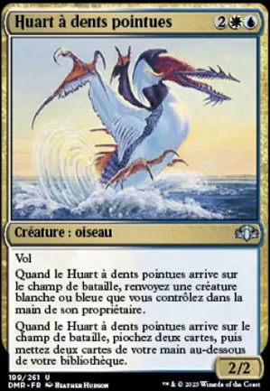 Huart à dents pointues