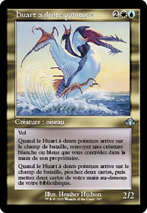 Huart à dents pointues