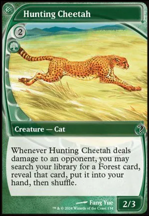 Hunting Cheetah