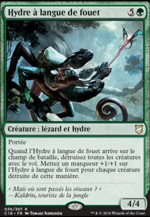 Hydre à langue de fouet