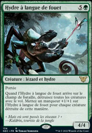 Hydre à langue de fouet