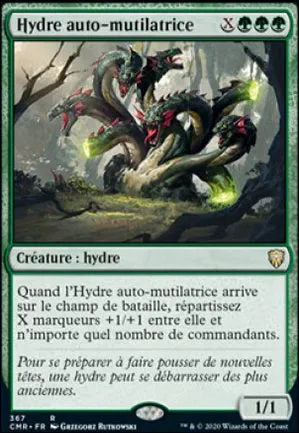 Hydre auto-mutilatrice