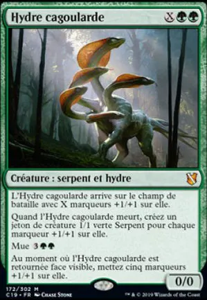 Hydre cagoularde
