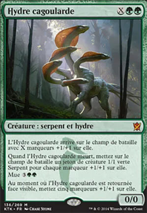 Hydre cagoularde