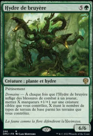 Hydre de bruyère
