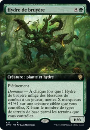 Hydre de bruyère
