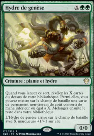 Hydre de genèse
