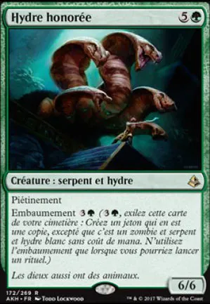 Hydre honorée