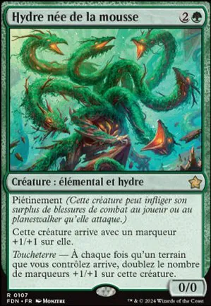 Hydre née de la mousse