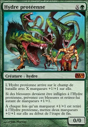 Hydre protéenne