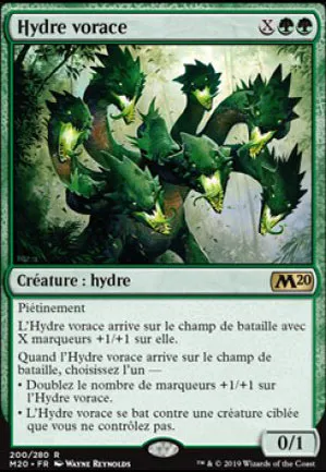 Hydre vorace