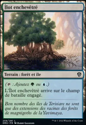 Îlot enchevêtré
