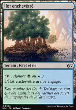 Îlot enchevêtré