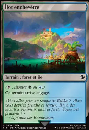 Îlot enchevêtré