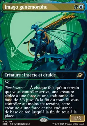 Imago génémorphe