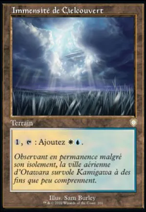 Immensité de Cielcouvert