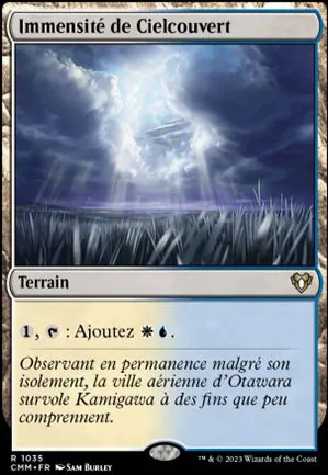 Immensité de Cielcouvert