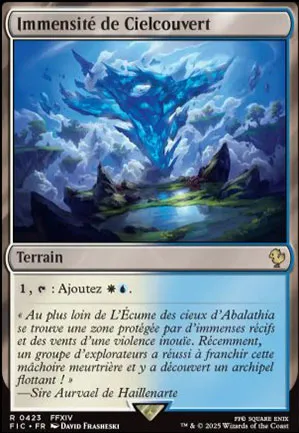 Immensité de Cielcouvert