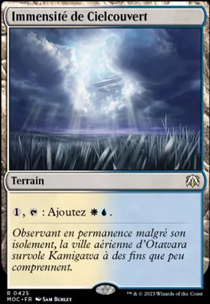 Immensité de Cielcouvert