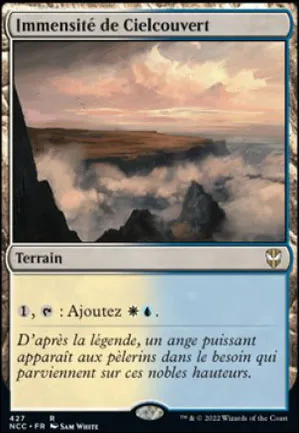 Immensité de Cielcouvert