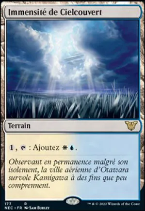 Immensité de Cielcouvert